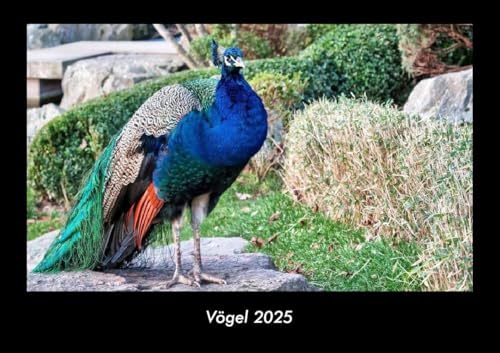 Vögel 2025 Fotokalender DIN A3: Monatskalender mit Bild-Motiven von Haustieren, Bauernhof, wilden Tieren und Raubtieren Vögel 2025 Fotokalender DIN A3: Monatskalender mit Bild-Motiven von Haustieren, Bauernhof, wilden Tieren und Raubtieren