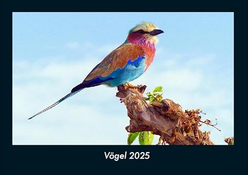 Vögel 2025 Fotokalender DIN A4: Monatskalender mit Bild-Motiven von Haustieren, Bauernhof, wilden Tieren und Raubtieren Vögel 2025 Fotokalender DIN A4: Monatskalender mit Bild-Motiven von Haustieren, Bauernhof, wilden Tieren und Raubtieren