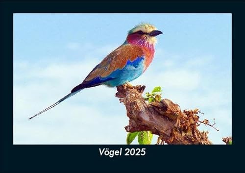 Vögel 2025 Fotokalender DIN A5: Monatskalender mit Bild-Motiven von Haustieren, Bauernhof, wilden Tieren und Raubtieren Vögel 2025 Fotokalender DIN A5: Monatskalender mit Bild-Motiven von Haustieren, Bauernhof, wilden Tieren und Raubtieren