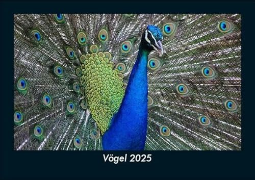Vögel 2025 Fotokalender DIN A5: Monatskalender mit Bild-Motiven von Haustieren, Bauernhof, wilden Tieren und Raubtieren Vögel 2025 Fotokalender DIN A5: Monatskalender mit Bild-Motiven von Haustieren, Bauernhof, wilden Tieren und Raubtieren