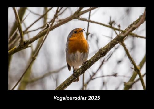 Vogelparadies 2025 Fotokalender DIN A3: Monatskalender mit Bild-Motiven von Haustieren, Bauernhof, wilden Tieren und Raubtieren Vogelparadies 2025 Fotokalender DIN A3: Monatskalender mit Bild-Motiven von Haustieren, Bauernhof, wilden Tieren und Raubtieren