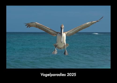 Vogelparadies 2025 Fotokalender DIN A3: Monatskalender mit Bild-Motiven von Haustieren, Bauernhof, wilden Tieren und Raubtieren Vogelparadies 2025 Fotokalender DIN A3: Monatskalender mit Bild-Motiven von Haustieren, Bauernhof, wilden Tieren und Raubtieren