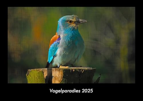Vogelparadies 2025 Fotokalender DIN A3: Monatskalender mit Bild-Motiven von Haustieren, Bauernhof, wilden Tieren und Raubtieren Vogelparadies 2025 Fotokalender DIN A3: Monatskalender mit Bild-Motiven von Haustieren, Bauernhof, wilden Tieren und Raubtieren
