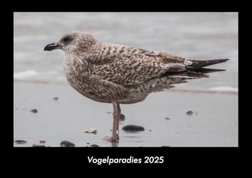Vogelparadies 2025 Fotokalender DIN A3: Monatskalender mit Bild-Motiven von Haustieren, Bauernhof, wilden Tieren und Raubtieren Vogelparadies 2025 Fotokalender DIN A3: Monatskalender mit Bild-Motiven von Haustieren, Bauernhof, wilden Tieren und Raubtieren