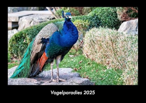 Vogelparadies 2025 Fotokalender DIN A3: Monatskalender mit Bild-Motiven von Haustieren, Bauernhof, wilden Tieren und Raubtieren Vogelparadies 2025 Fotokalender DIN A3: Monatskalender mit Bild-Motiven von Haustieren, Bauernhof, wilden Tieren und Raubtieren