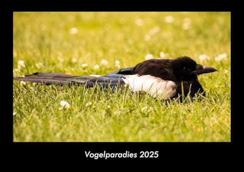 Vogelparadies 2025 Fotokalender DIN A3: Monatskalender mit Bild-Motiven von Haustieren, Bauernhof, wilden Tieren und Raubtieren Vogelparadies 2025 Fotokalender DIN A3: Monatskalender mit Bild-Motiven von Haustieren, Bauernhof, wilden Tieren und Raubtieren