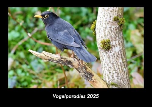 Vogelparadies 2025 Fotokalender DIN A3: Monatskalender mit Bild-Motiven von Haustieren, Bauernhof, wilden Tieren und Raubtieren Vogelparadies 2025 Fotokalender DIN A3: Monatskalender mit Bild-Motiven von Haustieren, Bauernhof, wilden Tieren und Raubtieren
