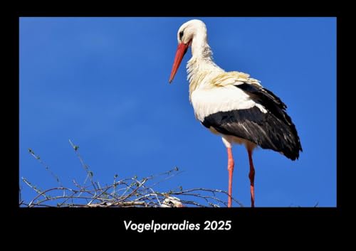 Vogelparadies 2025 Fotokalender DIN A3: Monatskalender mit Bild-Motiven von Haustieren, Bauernhof, wilden Tieren und Raubtieren Vogelparadies 2025 Fotokalender DIN A3: Monatskalender mit Bild-Motiven von Haustieren, Bauernhof, wilden Tieren und Raubtieren