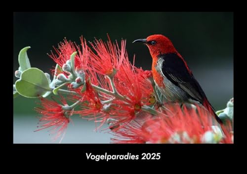 Vogelparadies 2025 Fotokalender DIN A3: Monatskalender mit Bild-Motiven von Haustieren, Bauernhof, wilden Tieren und Raubtieren Vogelparadies 2025 Fotokalender DIN A3: Monatskalender mit Bild-Motiven von Haustieren, Bauernhof, wilden Tieren und Raubtieren