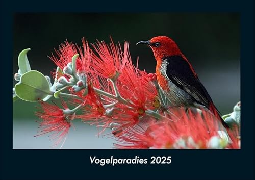 Vogelparadies 2025 Fotokalender DIN A4: Monatskalender mit Bild-Motiven von Haustieren, Bauernhof, wilden Tieren und Raubtieren Vogelparadies 2025 Fotokalender DIN A4: Monatskalender mit Bild-Motiven von Haustieren, Bauernhof, wilden Tieren und Raubtieren