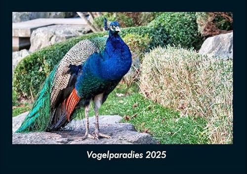 Vogelparadies 2025 Fotokalender DIN A4: Monatskalender mit Bild-Motiven von Haustieren, Bauernhof, wilden Tieren und Raubtieren Vogelparadies 2025 Fotokalender DIN A4: Monatskalender mit Bild-Motiven von Haustieren, Bauernhof, wilden Tieren und Raubtieren