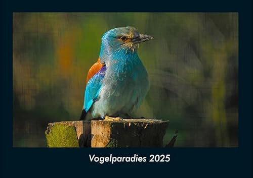 Vogelparadies 2025 Fotokalender DIN A4: Monatskalender mit Bild-Motiven von Haustieren, Bauernhof, wilden Tieren und Raubtieren Vogelparadies 2025 Fotokalender DIN A4: Monatskalender mit Bild-Motiven von Haustieren, Bauernhof, wilden Tieren und Raubtieren