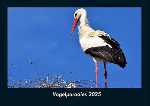 Vogelparadies 2025 Fotokalender DIN A4: Monatskalender mit Bild-Motiven von Haustieren, Bauernhof, wilden Tieren und Raubtieren Vogelparadies 2025 Fotokalender DIN A4: Monatskalender mit Bild-Motiven von Haustieren, Bauernhof, wilden Tieren und Raubtieren