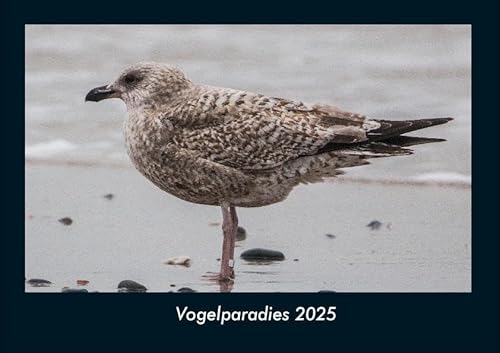 Vogelparadies 2025 Fotokalender DIN A4: Monatskalender mit Bild-Motiven von Haustieren, Bauernhof, wilden Tieren und Raubtieren Vogelparadies 2025 Fotokalender DIN A4: Monatskalender mit Bild-Motiven von Haustieren, Bauernhof, wilden Tieren und Raubtieren