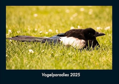 Vogelparadies 2025 Fotokalender DIN A4: Monatskalender mit Bild-Motiven von Haustieren, Bauernhof, wilden Tieren und Raubtieren Vogelparadies 2025 Fotokalender DIN A4: Monatskalender mit Bild-Motiven von Haustieren, Bauernhof, wilden Tieren und Raubtieren