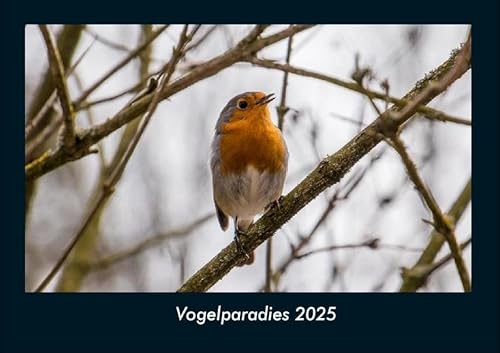 Vogelparadies 2025 Fotokalender DIN A4: Monatskalender mit Bild-Motiven von Haustieren, Bauernhof, wilden Tieren und Raubtieren Vogelparadies 2025 Fotokalender DIN A4: Monatskalender mit Bild-Motiven von Haustieren, Bauernhof, wilden Tieren und Raubtieren