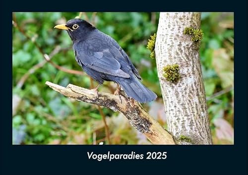 Vogelparadies 2025 Fotokalender DIN A4: Monatskalender mit Bild-Motiven von Haustieren, Bauernhof, wilden Tieren und Raubtieren Vogelparadies 2025 Fotokalender DIN A4: Monatskalender mit Bild-Motiven von Haustieren, Bauernhof, wilden Tieren und Raubtieren