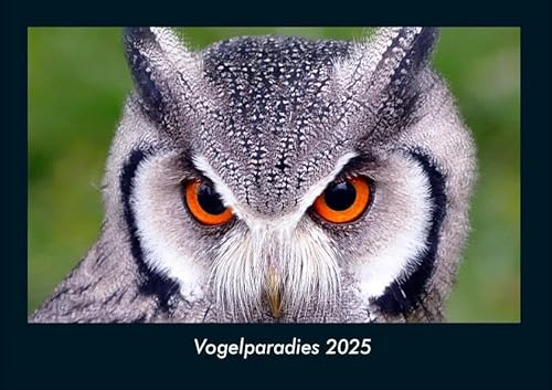 Vogelparadies 2025 Fotokalender DIN A4: Monatskalender mit Bild-Motiven von Haustieren, Bauernhof, wilden Tieren und Raubtieren Vogelparadies 2025 Fotokalender DIN A4: Monatskalender mit Bild-Motiven von Haustieren, Bauernhof, wilden Tieren und Raubtieren