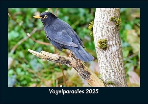 Vogelparadies 2025 Fotokalender DIN A5: Monatskalender mit Bild-Motiven von Haustieren, Bauernhof, wilden Tieren und Raubtieren Vogelparadies 2025 Fotokalender DIN A5: Monatskalender mit Bild-Motiven von Haustieren, Bauernhof, wilden Tieren und Raubtieren
