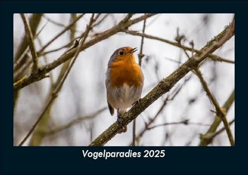 Vogelparadies 2025 Fotokalender DIN A5: Monatskalender mit Bild-Motiven von Haustieren, Bauernhof, wilden Tieren und Raubtieren Vogelparadies 2025 Fotokalender DIN A5: Monatskalender mit Bild-Motiven von Haustieren, Bauernhof, wilden Tieren und Raubtieren