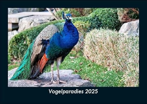 Vogelparadies 2025 Fotokalender DIN A5: Monatskalender mit Bild-Motiven von Haustieren, Bauernhof, wilden Tieren und Raubtieren Vogelparadies 2025 Fotokalender DIN A5: Monatskalender mit Bild-Motiven von Haustieren, Bauernhof, wilden Tieren und Raubtieren