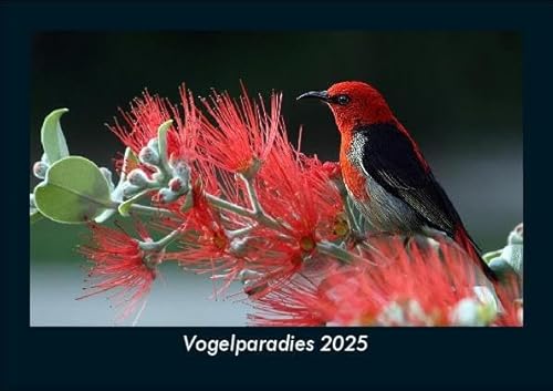 Vogelparadies 2025 Fotokalender DIN A5: Monatskalender mit Bild-Motiven von Haustieren, Bauernhof, wilden Tieren und Raubtieren Vogelparadies 2025 Fotokalender DIN A5: Monatskalender mit Bild-Motiven von Haustieren, Bauernhof, wilden Tieren und Raubtieren