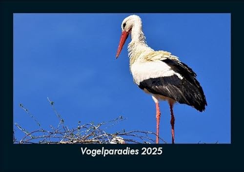 Vogelparadies 2025 Fotokalender DIN A5: Monatskalender mit Bild-Motiven von Haustieren, Bauernhof, wilden Tieren und Raubtieren Vogelparadies 2025 Fotokalender DIN A5: Monatskalender mit Bild-Motiven von Haustieren, Bauernhof, wilden Tieren und Raubtieren