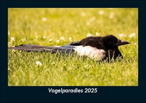 Vogelparadies 2025 Fotokalender DIN A5: Monatskalender mit Bild-Motiven von Haustieren, Bauernhof, wilden Tieren und Raubtieren Vogelparadies 2025 Fotokalender DIN A5: Monatskalender mit Bild-Motiven von Haustieren, Bauernhof, wilden Tieren und Raubtieren