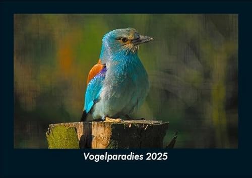 Vogelparadies 2025 Fotokalender DIN A5: Monatskalender mit Bild-Motiven von Haustieren, Bauernhof, wilden Tieren und Raubtieren Vogelparadies 2025 Fotokalender DIN A5: Monatskalender mit Bild-Motiven von Haustieren, Bauernhof, wilden Tieren und Raubtieren