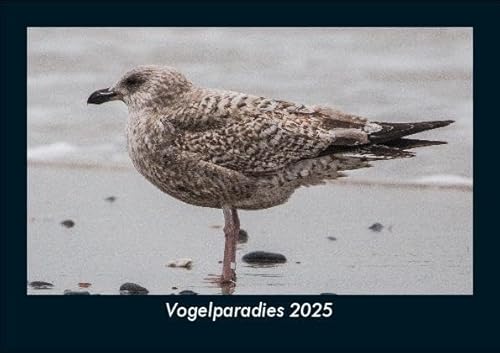 Vogelparadies 2025 Fotokalender DIN A5: Monatskalender mit Bild-Motiven von Haustieren, Bauernhof, wilden Tieren und Raubtieren Vogelparadies 2025 Fotokalender DIN A5: Monatskalender mit Bild-Motiven von Haustieren, Bauernhof, wilden Tieren und Raubtieren