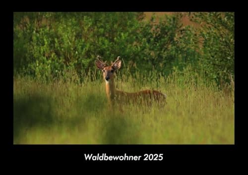 Waldbewohner 2025 Fotokalender DIN A3: Monatskalender mit Bild-Motiven von Haustieren, Bauernhof, wilden Tieren und Raubtieren Waldbewohner 2025 Fotokalender DIN A3: Monatskalender mit Bild-Motiven von Haustieren, Bauernhof, wilden Tieren und Raubtieren