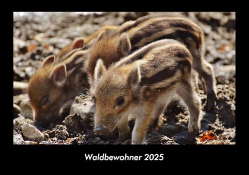 Waldbewohner 2025 Fotokalender DIN A3: Monatskalender mit Bild-Motiven von Haustieren, Bauernhof, wilden Tieren und Raubtieren Waldbewohner 2025 Fotokalender DIN A3: Monatskalender mit Bild-Motiven von Haustieren, Bauernhof, wilden Tieren und Raubtieren
