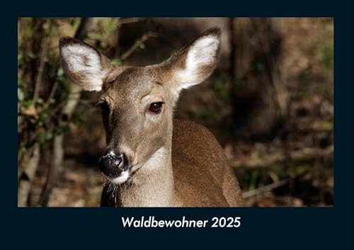 Waldbewohner 2025 Fotokalender DIN A4: Monatskalender mit Bild-Motiven von Haustieren, Bauernhof, wilden Tieren und Raubtieren Waldbewohner 2025 Fotokalender DIN A4: Monatskalender mit Bild-Motiven von Haustieren, Bauernhof, wilden Tieren und Raubtieren
