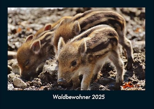 Waldbewohner 2025 Fotokalender DIN A4: Monatskalender mit Bild-Motiven von Haustieren, Bauernhof, wilden Tieren und Raubtieren Waldbewohner 2025 Fotokalender DIN A4: Monatskalender mit Bild-Motiven von Haustieren, Bauernhof, wilden Tieren und Raubtieren