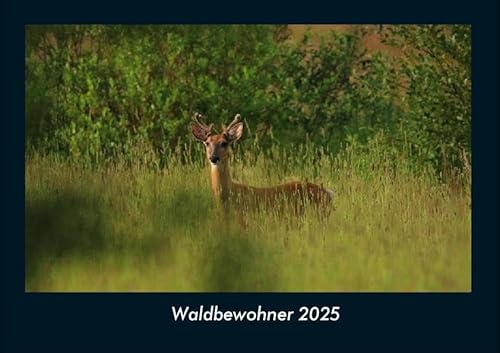 Waldbewohner 2025 Fotokalender DIN A4: Monatskalender mit Bild-Motiven von Haustieren, Bauernhof, wilden Tieren und Raubtieren Waldbewohner 2025 Fotokalender DIN A4: Monatskalender mit Bild-Motiven von Haustieren, Bauernhof, wilden Tieren und Raubtieren