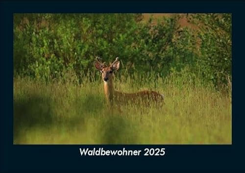 Waldbewohner 2025 Fotokalender DIN A5: Monatskalender mit Bild-Motiven von Haustieren, Bauernhof, wilden Tieren und Raubtieren Waldbewohner 2025 Fotokalender DIN A5: Monatskalender mit Bild-Motiven von Haustieren, Bauernhof, wilden Tieren und Raubtieren