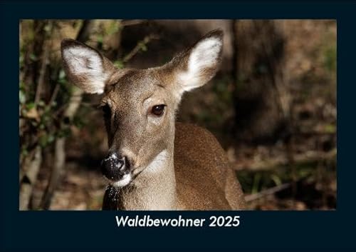 Waldbewohner 2025 Fotokalender DIN A5: Monatskalender mit Bild-Motiven von Haustieren, Bauernhof, wilden Tieren und Raubtieren Waldbewohner 2025 Fotokalender DIN A5: Monatskalender mit Bild-Motiven von Haustieren, Bauernhof, wilden Tieren und Raubtieren