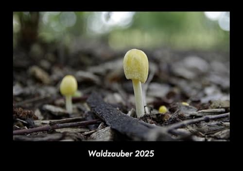 Waldzauber 2025 Fotokalender DIN A3: Monatskalender mit Bild-Motiven aus Fauna und Flora, Natur, Blumen und Pflanzen Waldzauber 2025 Fotokalender DIN A3: Monatskalender mit Bild-Motiven aus Fauna und Flora, Natur, Blumen und Pflanzen
