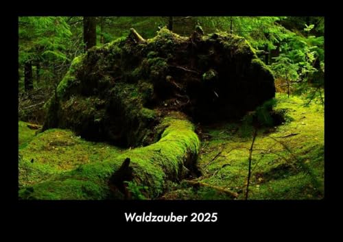 Waldzauber 2025 Fotokalender DIN A3: Monatskalender mit Bild-Motiven aus Fauna und Flora, Natur, Blumen und Pflanzen Waldzauber 2025 Fotokalender DIN A3: Monatskalender mit Bild-Motiven aus Fauna und Flora, Natur, Blumen und Pflanzen
