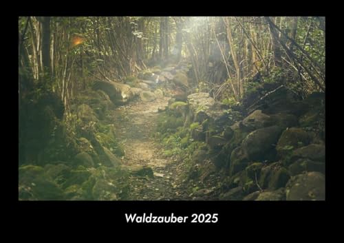 Waldzauber 2025 Fotokalender DIN A3: Monatskalender mit Bild-Motiven aus Fauna und Flora, Natur, Blumen und Pflanzen Waldzauber 2025 Fotokalender DIN A3: Monatskalender mit Bild-Motiven aus Fauna und Flora, Natur, Blumen und Pflanzen