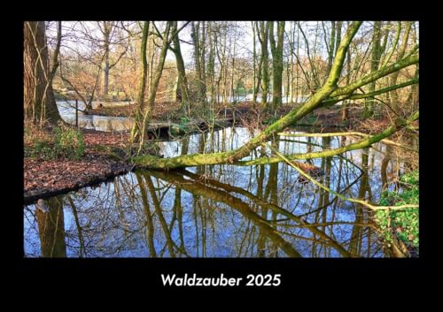 Waldzauber 2025 Fotokalender DIN A3: Monatskalender mit Bild-Motiven aus Fauna und Flora, Natur, Blumen und Pflanzen Waldzauber 2025 Fotokalender DIN A3: Monatskalender mit Bild-Motiven aus Fauna und Flora, Natur, Blumen und Pflanzen