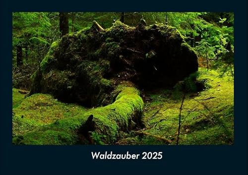 Waldzauber 2025 Fotokalender DIN A4: Monatskalender mit Bild-Motiven aus Fauna und Flora, Natur, Blumen und Pflanzen Waldzauber 2025 Fotokalender DIN A4: Monatskalender mit Bild-Motiven aus Fauna und Flora, Natur, Blumen und Pflanzen