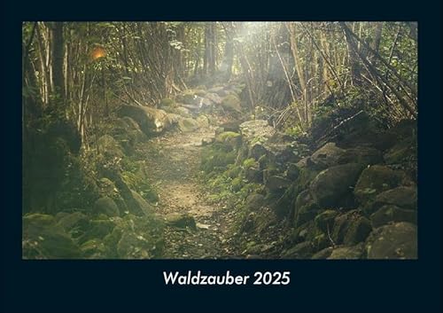 Waldzauber 2025 Fotokalender DIN A4: Monatskalender mit Bild-Motiven aus Fauna und Flora, Natur, Blumen und Pflanzen Waldzauber 2025 Fotokalender DIN A4: Monatskalender mit Bild-Motiven aus Fauna und Flora, Natur, Blumen und Pflanzen