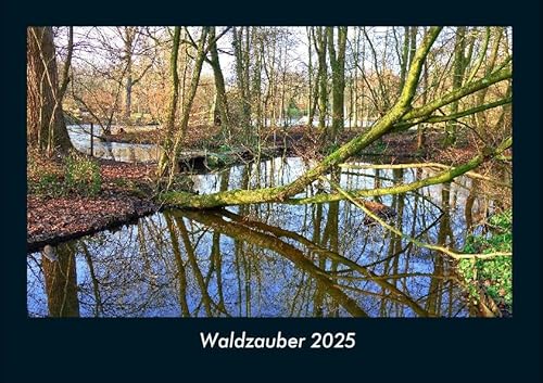 Waldzauber 2025 Fotokalender DIN A4: Monatskalender mit Bild-Motiven aus Fauna und Flora, Natur, Blumen und Pflanzen Waldzauber 2025 Fotokalender DIN A4: Monatskalender mit Bild-Motiven aus Fauna und Flora, Natur, Blumen und Pflanzen