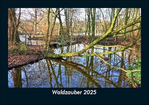 Waldzauber 2025 Fotokalender DIN A5: Monatskalender mit Bild-Motiven aus Fauna und Flora, Natur, Blumen und Pflanzen Waldzauber 2025 Fotokalender DIN A5: Monatskalender mit Bild-Motiven aus Fauna und Flora, Natur, Blumen und Pflanzen