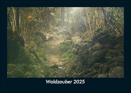 Waldzauber 2025 Fotokalender DIN A5: Monatskalender mit Bild-Motiven aus Fauna und Flora, Natur, Blumen und Pflanzen Waldzauber 2025 Fotokalender DIN A5: Monatskalender mit Bild-Motiven aus Fauna und Flora, Natur, Blumen und Pflanzen