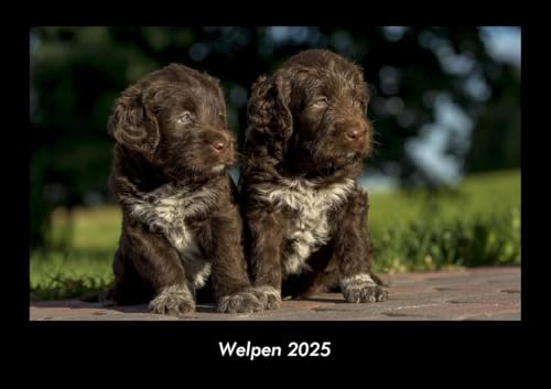 Welpen 2025 Fotokalender DIN A3: Monatskalender mit Bild-Motiven von Haustieren, Bauernhof, wilden Tieren und Raubtieren Welpen 2025 Fotokalender DIN A3: Monatskalender mit Bild-Motiven von Haustieren, Bauernhof, wilden Tieren und Raubtieren