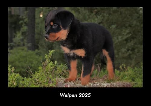 Welpen 2025 Fotokalender DIN A3: Monatskalender mit Bild-Motiven von Haustieren, Bauernhof, wilden Tieren und Raubtieren Welpen 2025 Fotokalender DIN A3: Monatskalender mit Bild-Motiven von Haustieren, Bauernhof, wilden Tieren und Raubtieren