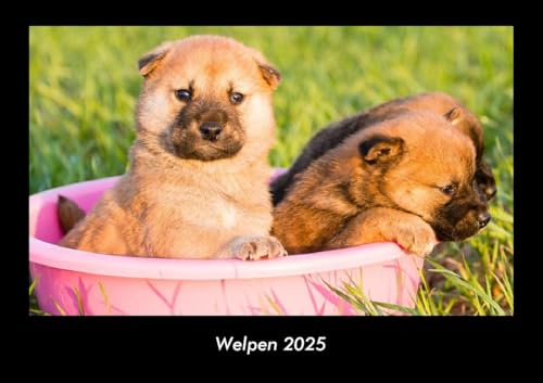 Welpen 2025 Fotokalender DIN A3: Monatskalender mit Bild-Motiven von Haustieren, Bauernhof, wilden Tieren und Raubtieren von Vero Kalender