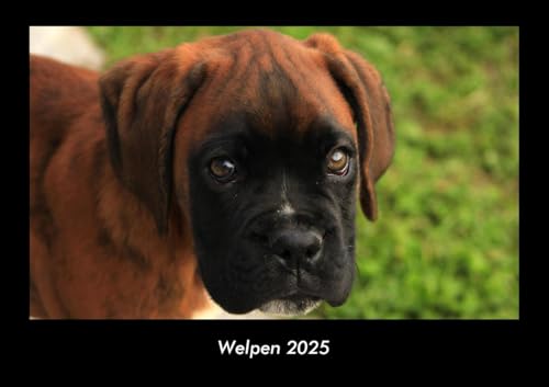 Welpen 2025 Fotokalender DIN A3: Monatskalender mit Bild-Motiven von Haustieren, Bauernhof, wilden Tieren und Raubtieren Welpen 2025 Fotokalender DIN A3: Monatskalender mit Bild-Motiven von Haustieren, Bauernhof, wilden Tieren und Raubtieren